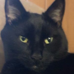 Meet your Posher, Katrina